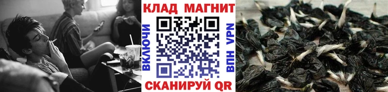 Где продают наркотики Печора Героин МЕФ ГАШ MEGA как зайти Alpha-PVP Канабис