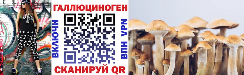 hydra маркетплейс  Печора  Псилоцибиновые грибы мухоморы  где найти  